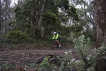 Jacobs Ladder Cycling Bike tour climb Tasmania climb!