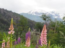 Top 5 Rides South America Bike Odyssey Top 5 Rides South America Bike Odyssey