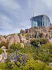 Mount Wellington Lookout cycling