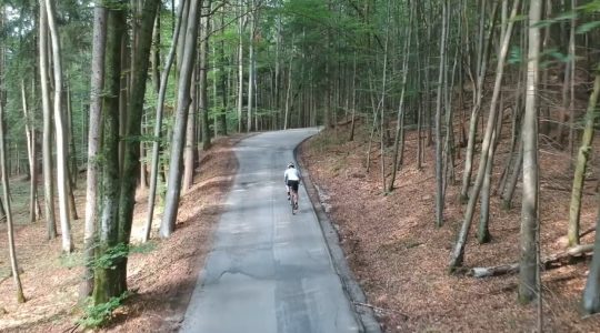 Lionheart 2019 - Venice to Paris - The Journey Lionheart 2019 - Venice to Paris - The Journey