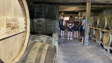 Cider Tasting!