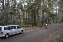 Jacobs Ladder Cycling Bike tour climb Tasmania supported