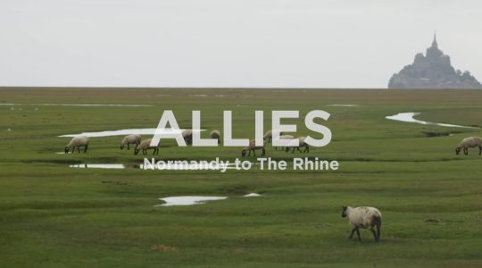 Allies 2023.mp4 Allies 2023.mp4