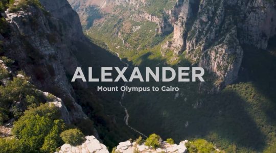 2025 Alexander webpage 2025 Alexander webpage