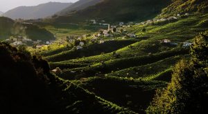 Panoramica_con_Santo_Stefano-Agosto sicily bike tour