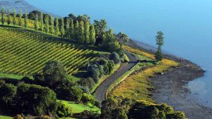 Tasmania-Wine-road-best-tour-cycle