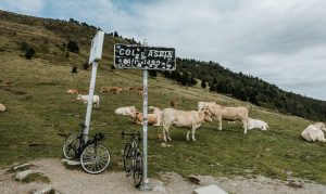 Hannibal-bike-tour-france-italy-spain
