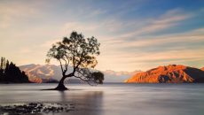 New Zealand Bike Tour South Island Escape Wanaka"