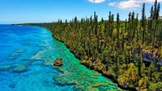 isle-of-pines-bike tour New Caledonia"