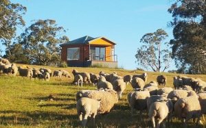 cycling tour of australia