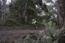 Jacobs Ladder Cycling Bike tour climb Tasmania climb!