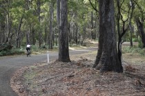 Jacobs Ladder Cycling Bike tour climb Tasmania gravel grinder