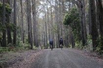 Jacobs Ladder Cycling Bike tour climb Tasmania great photo