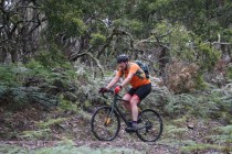 Jacobs Ladder Cycling Bike tour climb Tasmania smashing it