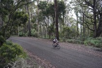 Jacobs Ladder Cycling Bike tour climb Tasmania ride