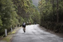 Mount Wellington cycling climb