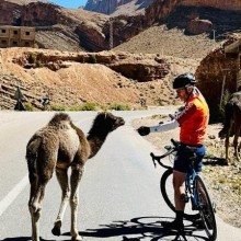 Greet the baby camels on the road to Zagora!